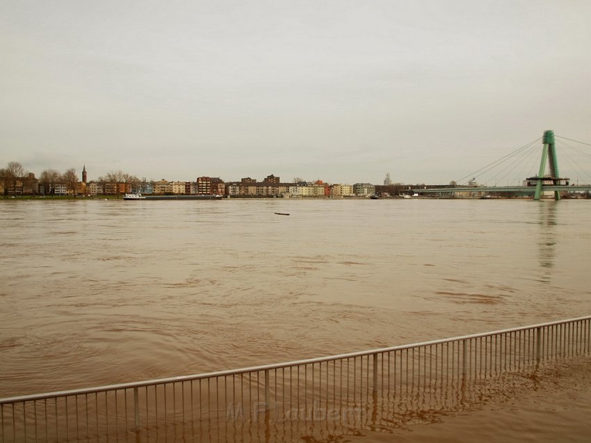 Hochwasser Koeln 2011 Tag 2 P183.JPG